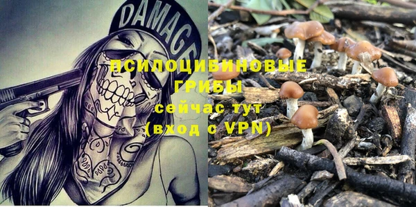 бутират Верхний Тагил