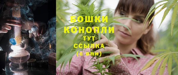 спиды Верея